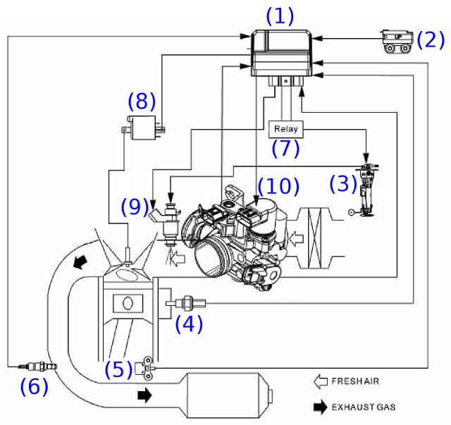 FI-diagram-test